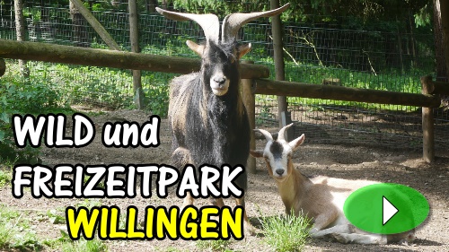 Wildpark Willingen