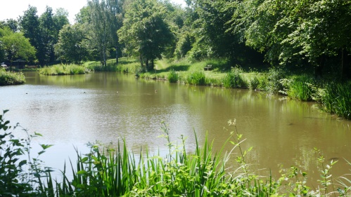 Eine Oase für Angler