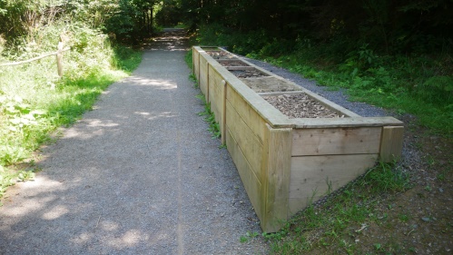 Waldweg Grenzenlos Barfupfad