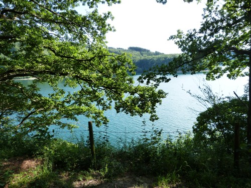 Hennesee