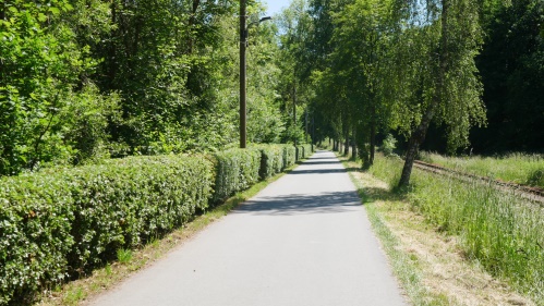 Wanderweg Stausee Olsberg