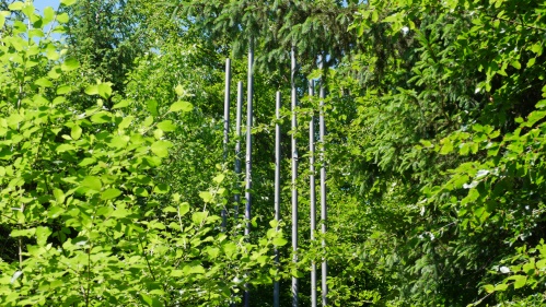 Waldskulpturen in Schmallenberg