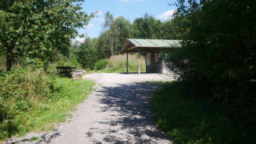 Waldweg Grenzenlos