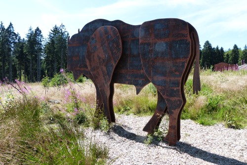 Wisent-Wildnis