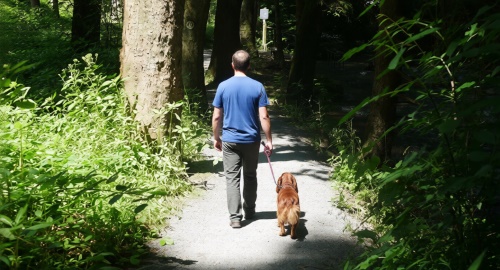 Wandern mit Hund