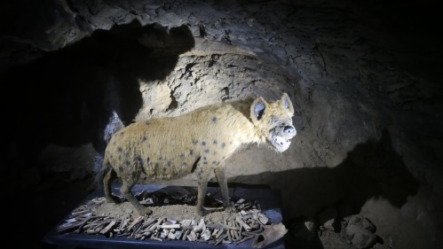 Heinrichshöhle Hemer