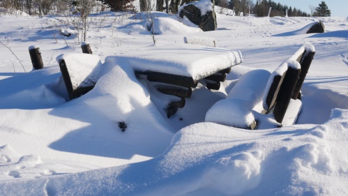 Kahle Pön im Winter