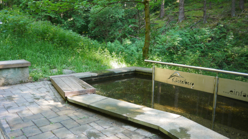 Tretbecken Kstelberg