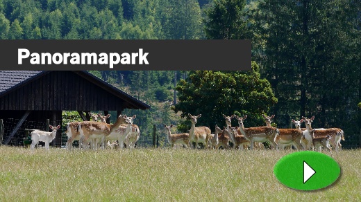 Video: Panoramapark Kirchhundem