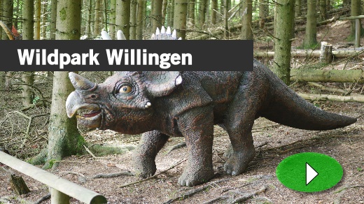 Wildpark und Freizeitpark Willingen