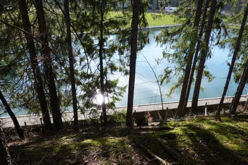 Blick vom Wald ins Freibad