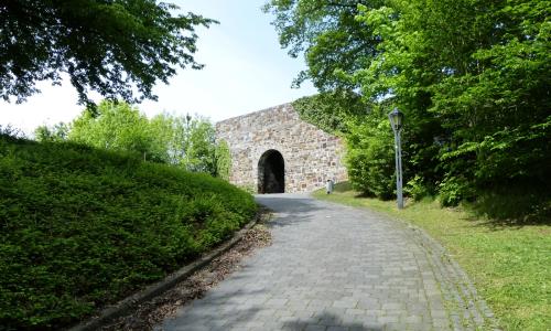 Aufstieg zur Schlossruine