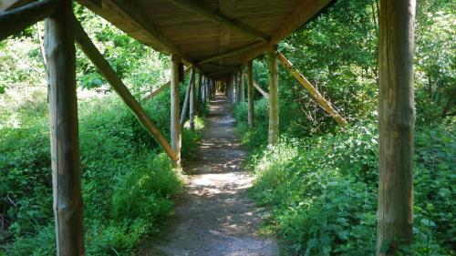 Schne Wanderwege auch fr Regentage