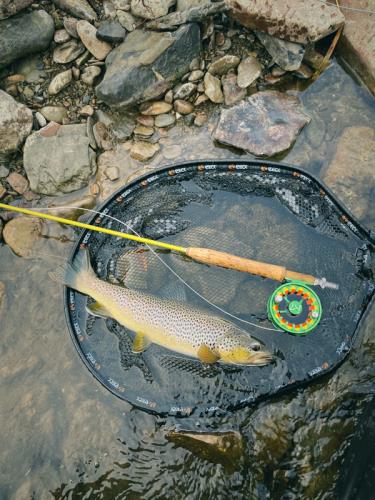 SAUERLAND FLY SHOP