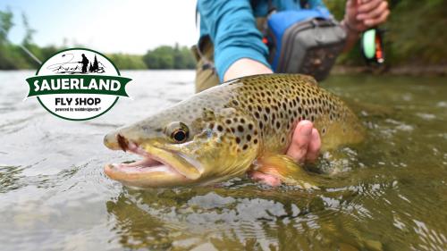 Fliegenfischen im Sauerland