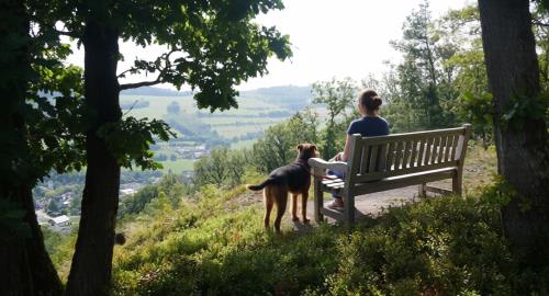Sauerland Urlaub mit Hund