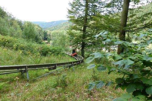 Rodelbahn Olsberg-Bruchhausen